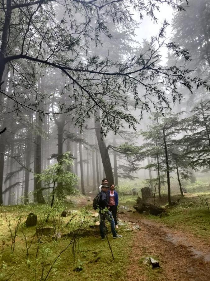 Willa Deep In Woods Jibhi Zewnętrze zdjęcie